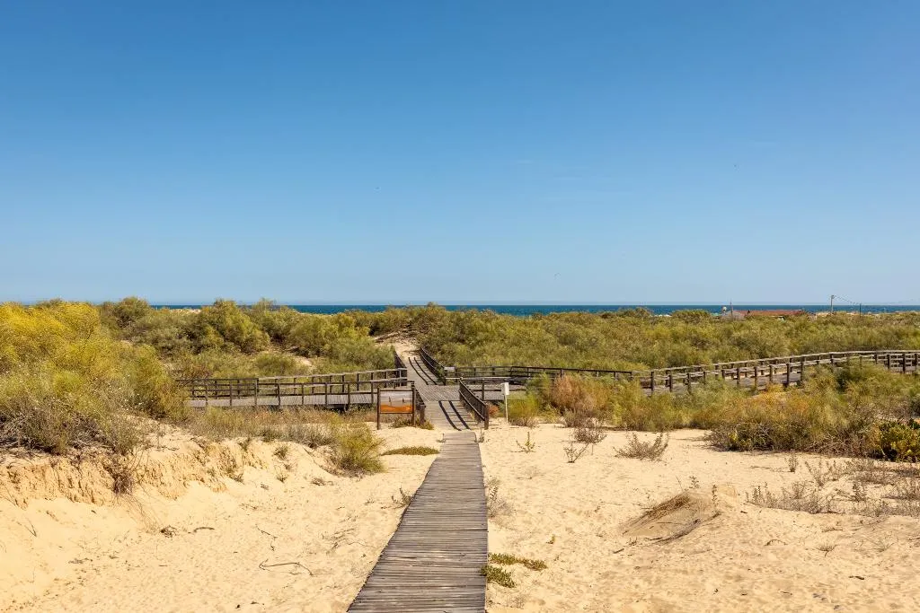 General view, Praia da Lota Resort, Algarve