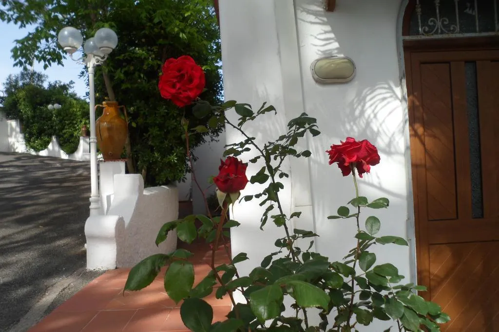 Terrace, Hotel Park Calitto, Naples