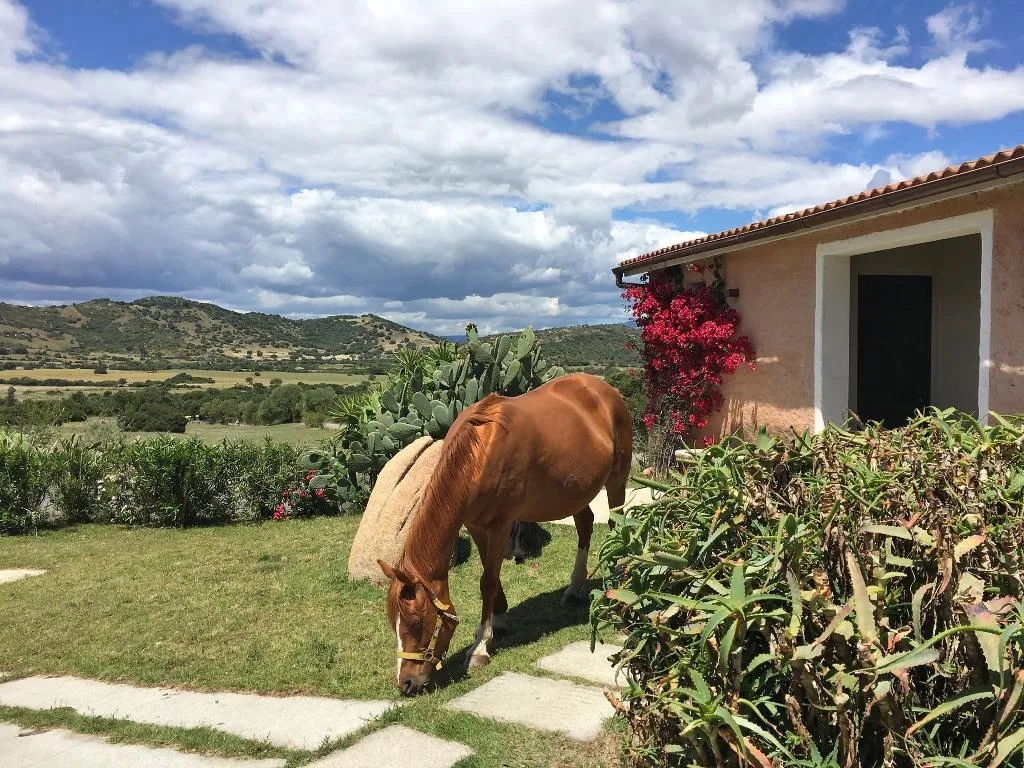 General view, Borgo di Campagna, Olbia