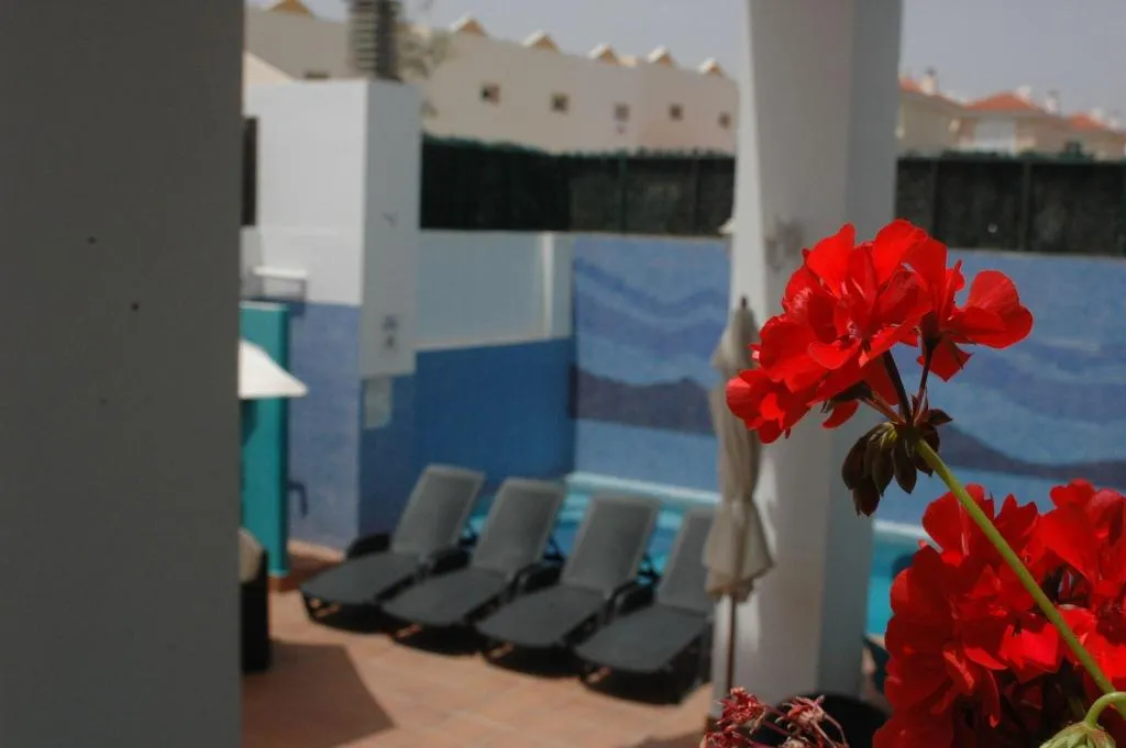 Pool, La Casita, Fuerteventura