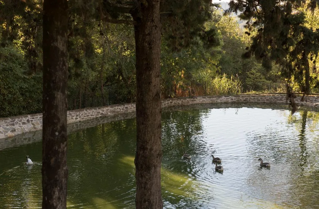 Pool, Borgo Tenuta La Bandita, Florence