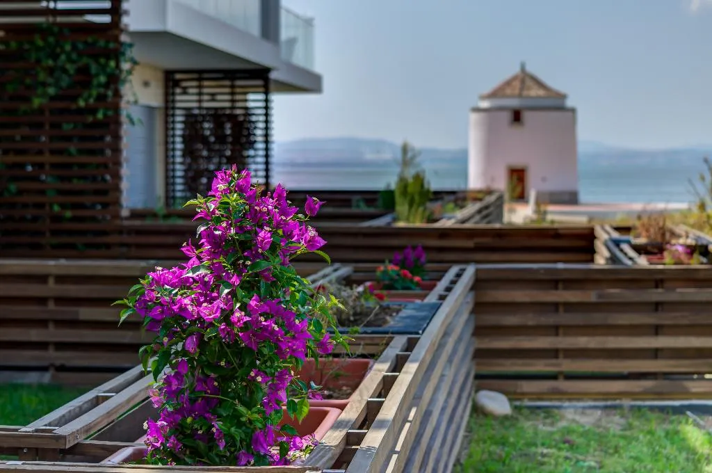 General view, Praia Do Sal, Lisbon