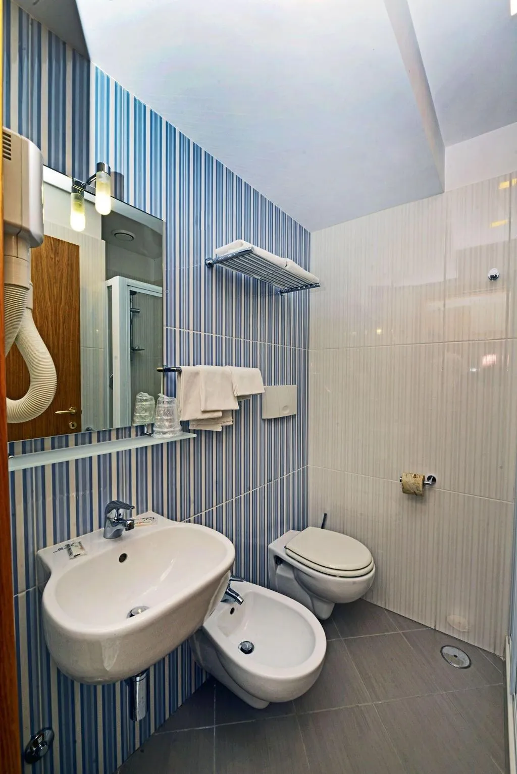 Double or Twin WITH DOUBLE BED Room, Hotel Zeus Pompei, Naples