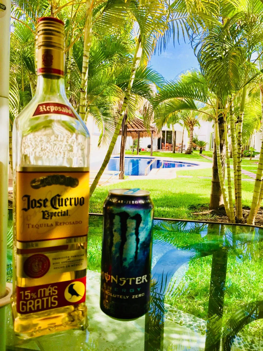 Terrace, Dolce Vita Caribe B&B, Playa Del Carmen