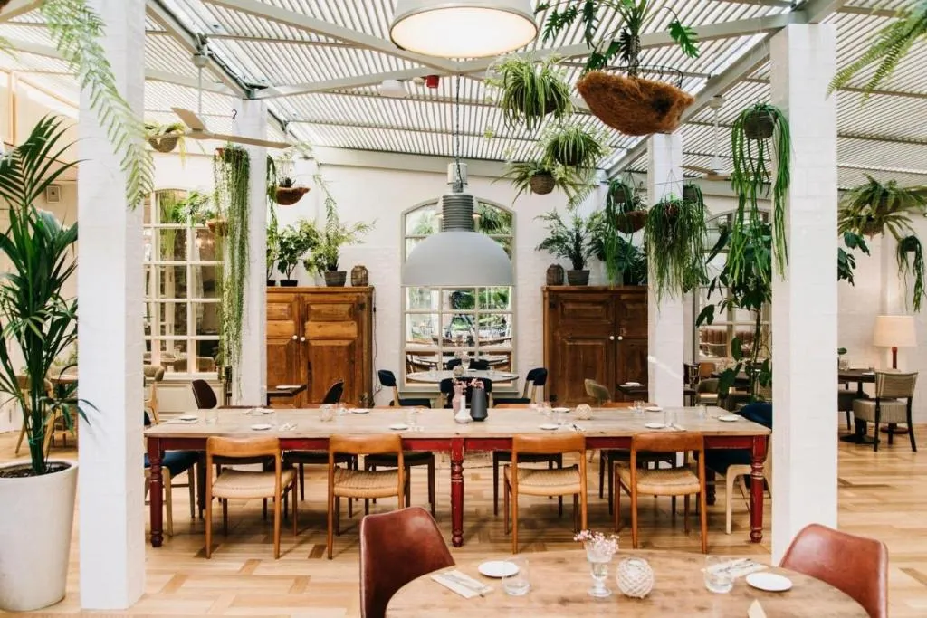 Terrace, Pulitzer, Barcelona
