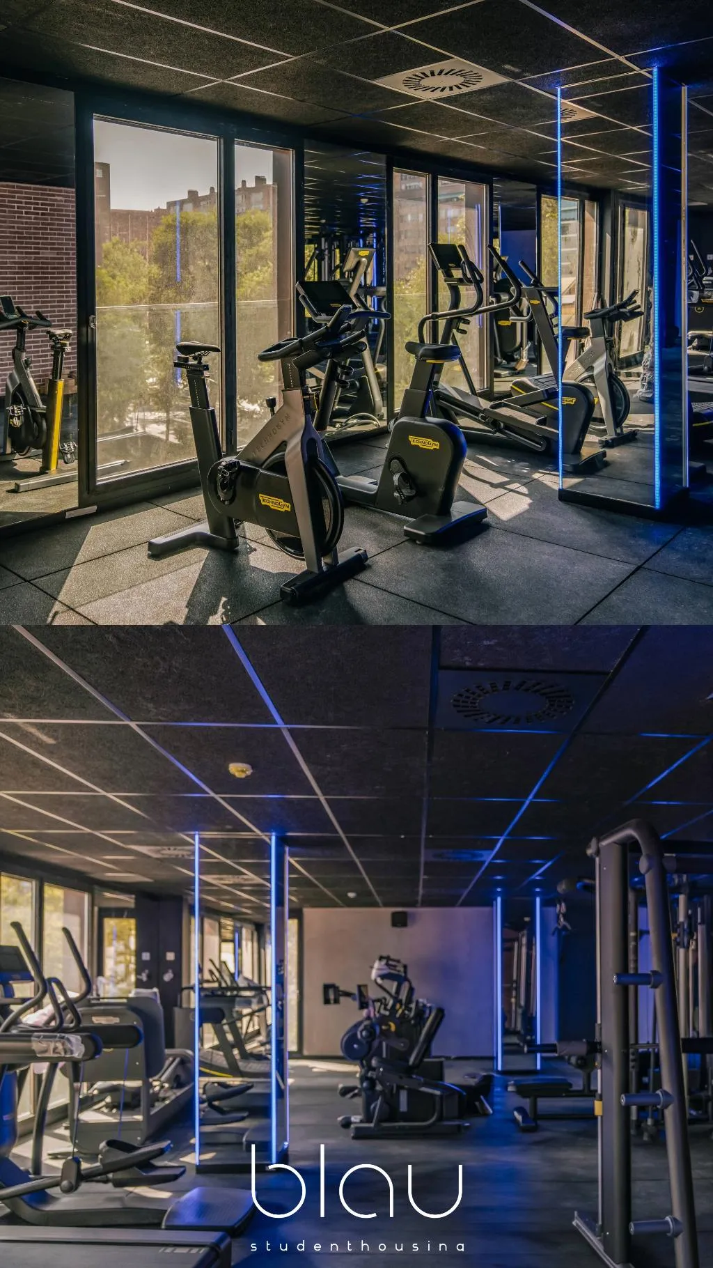 Sports and Entertainment, Blau Student Housing, Barcelona