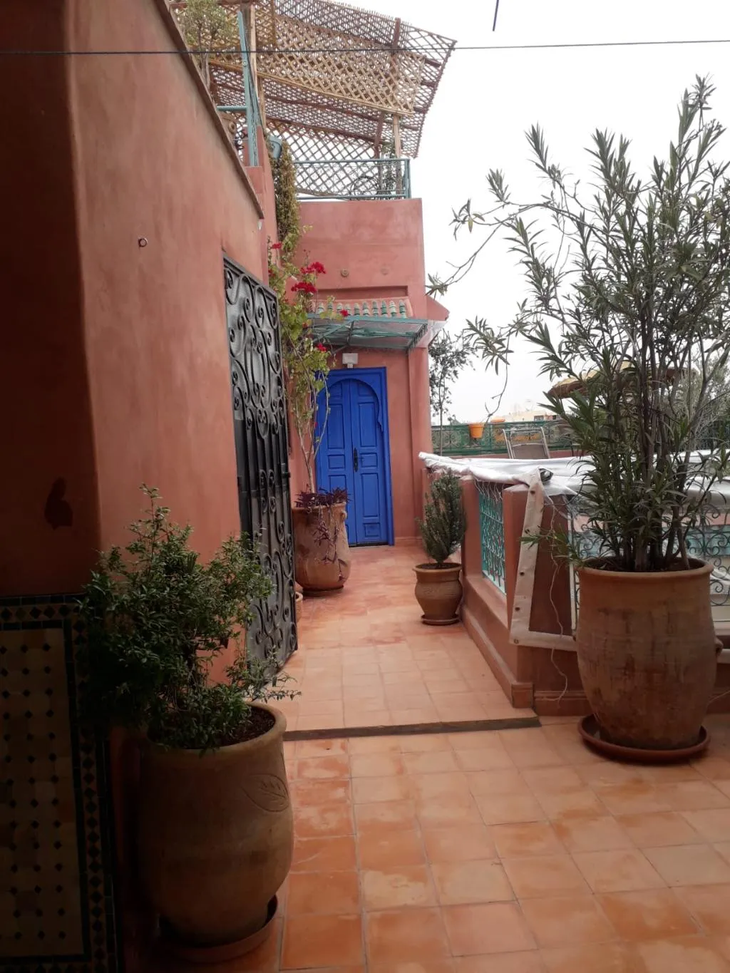 General view, Riad Bianca, Marrakech