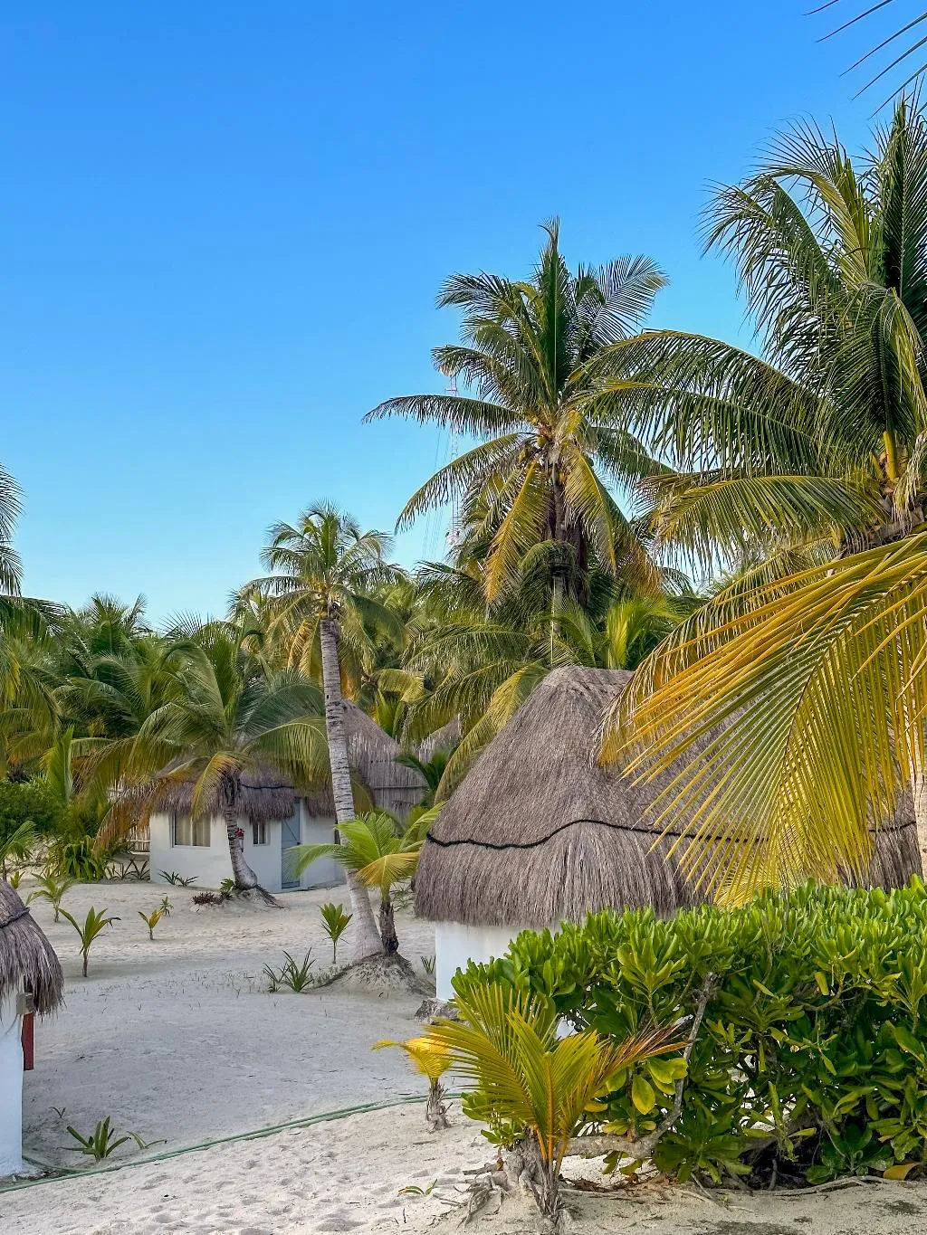 General view, Alito Tulum Hotel, Cancun Area