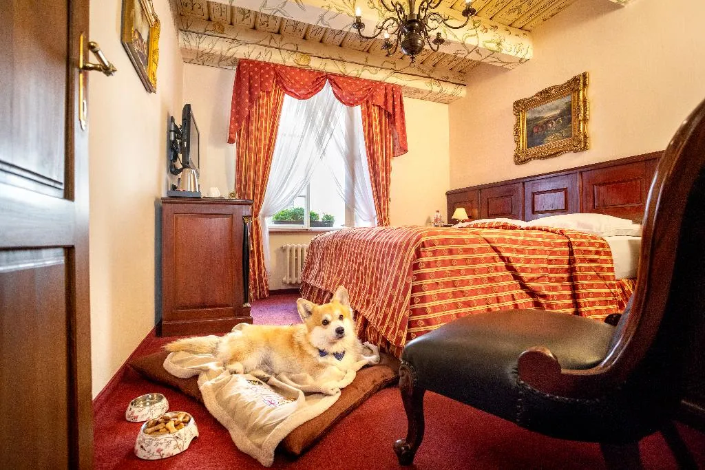 Double or Twin STANDARD Room, Hotel U Zlatého Stromu Prague by BHG, Prague