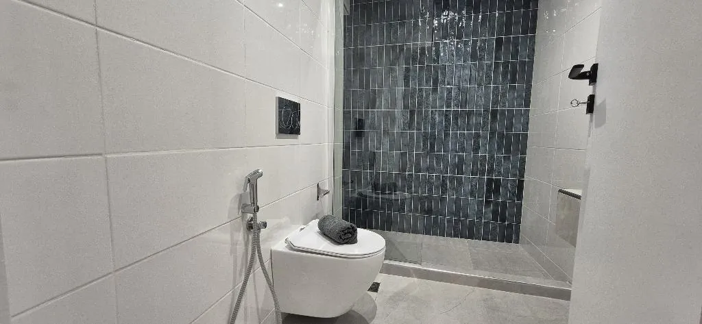 Double or Twin DELUXE Room, Figleaf Kypseli, Athens