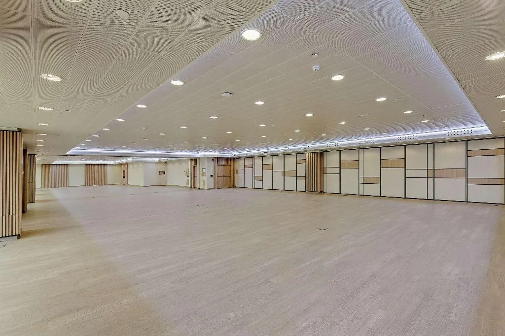 Conferences, Melia Avenida America, Madrid