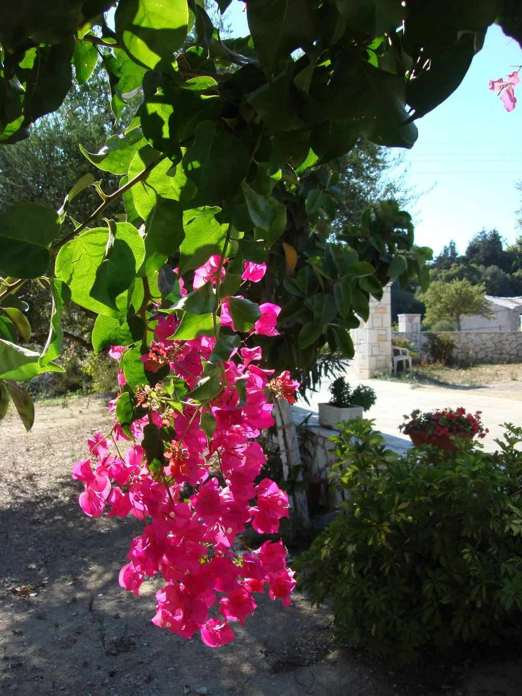 General view, Villa Kapnisi, Zante