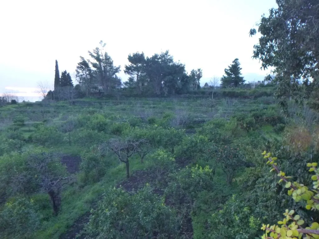 General view, Baglio delle Rose, Catania