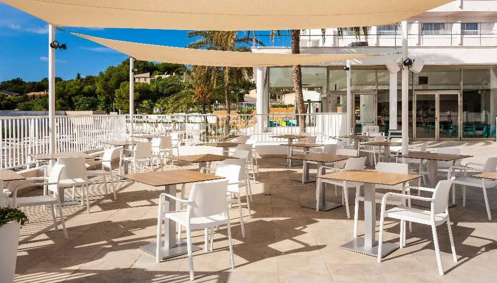 Terrace, Globales Mimosa, Majorca