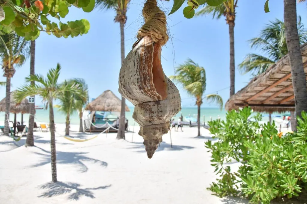 Beach, Amaita Beach Hotel, Cancun Area
