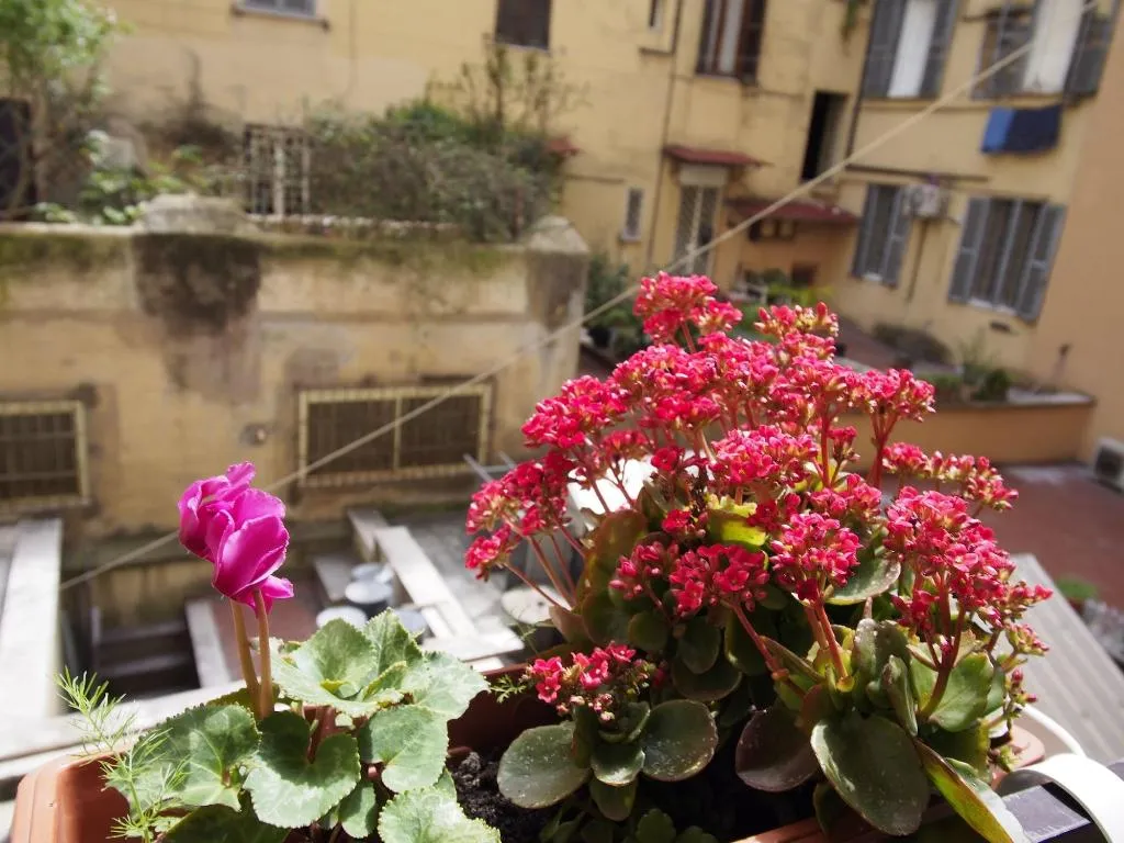 General view, Palladini Hostel, Naples