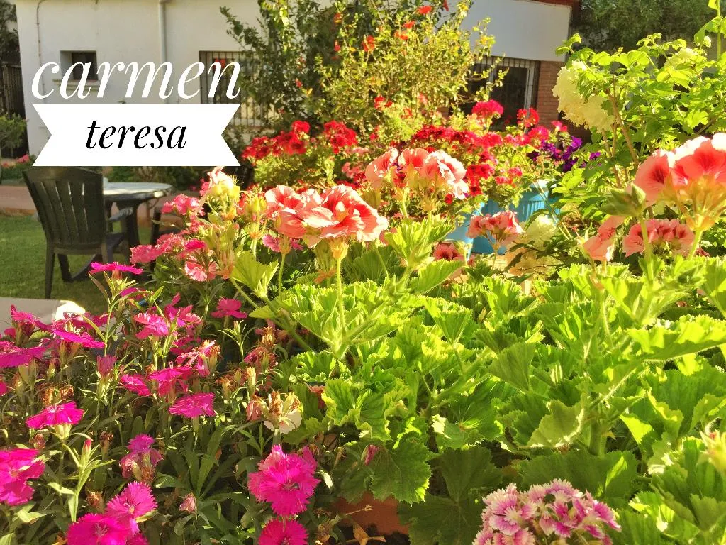 Terrace, Carmen Teresa, Costa Del Sol
