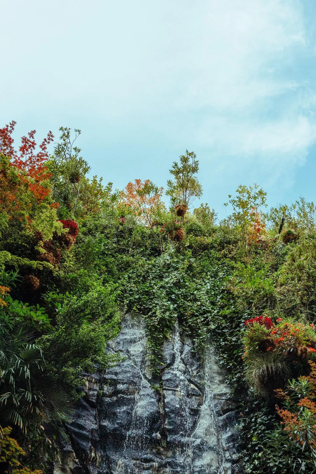 General view, Inhala Hotel Garden, Madrid
