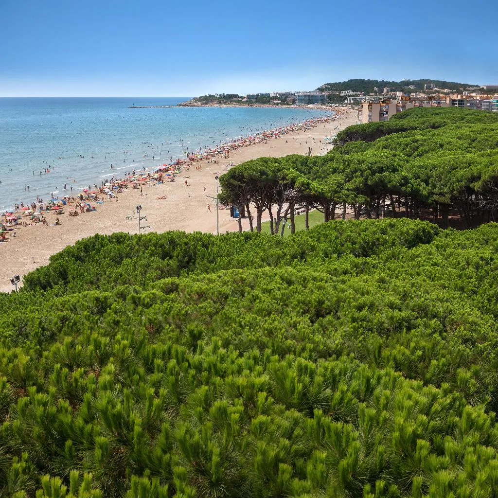 Beach, Rentalmar Pineda Suites, Costa Brava