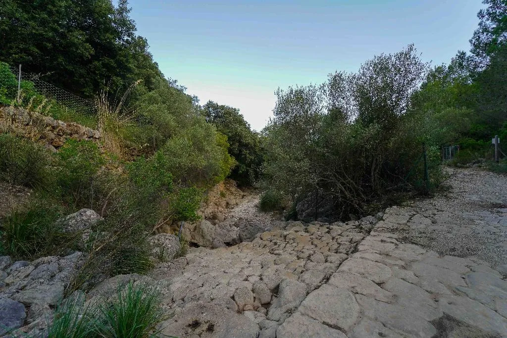 Sports and Entertainment, Hotel Rural S'Olivaret, Majorca