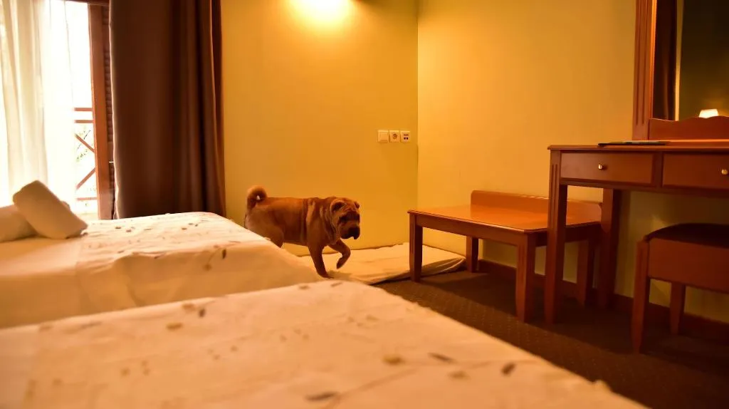 Room, Mont Helmos, Athens