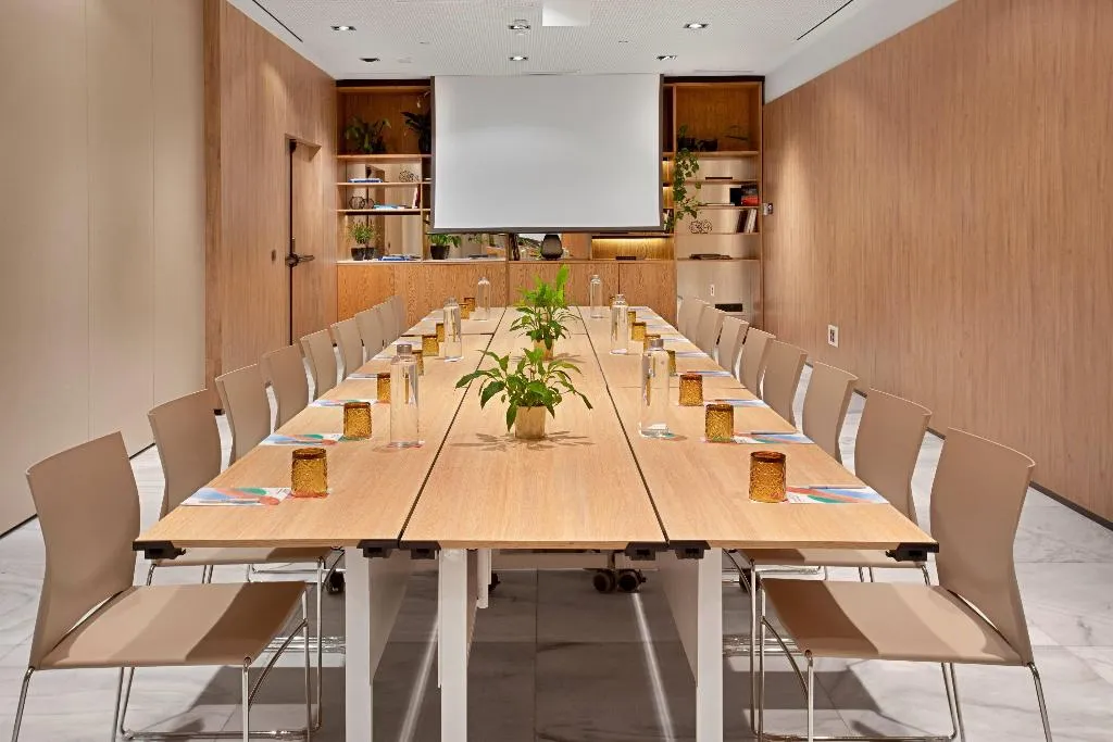 Conferences, Melia Madrid Serrano, Madrid
