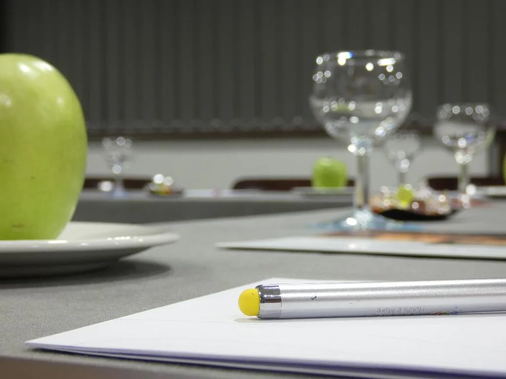 Conferences, Hotel Chamartin the One, Madrid