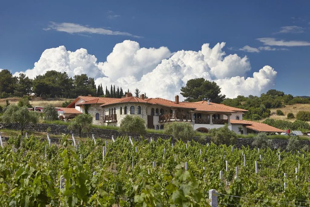General view, Yedi Bilgeler Vineyards, Izmir