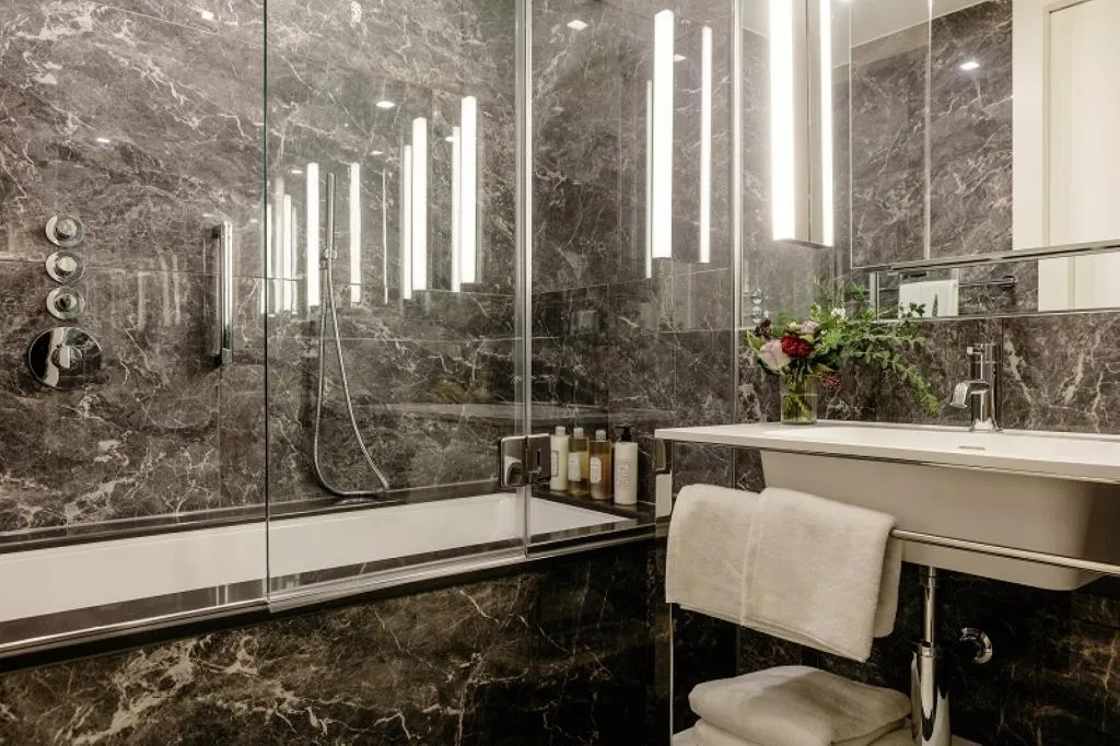 STUDIO CLASSIC PARK VIEW Room, Herbert Park Hotel, Dublin