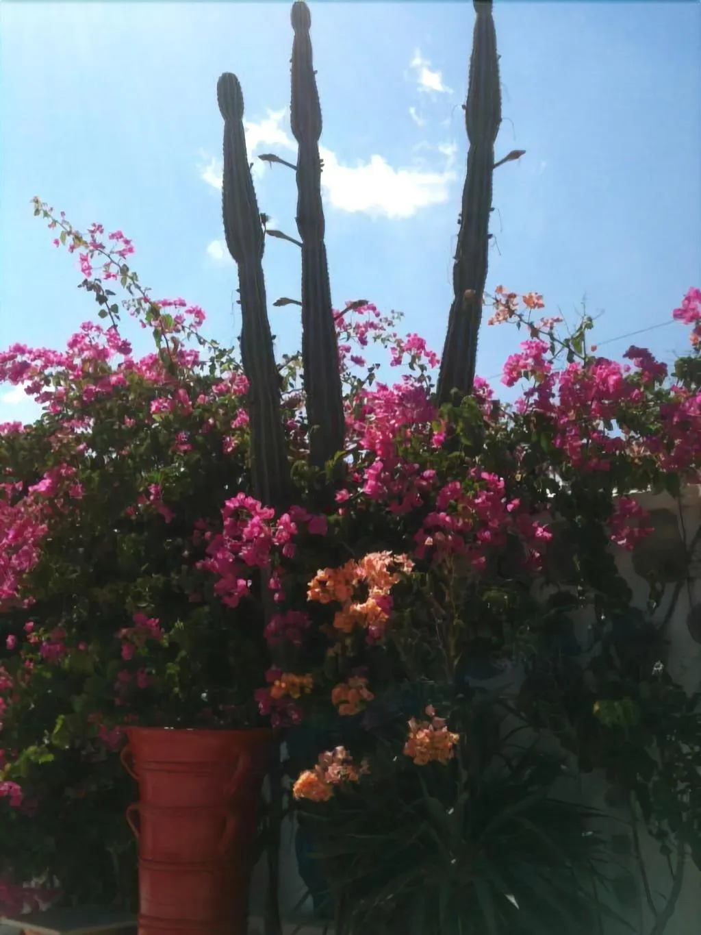 General view, Sun Of Mykonos Studios, Mykonos