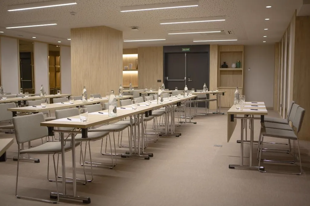 Conferences, Hotel Riu Plaza España, Madrid
