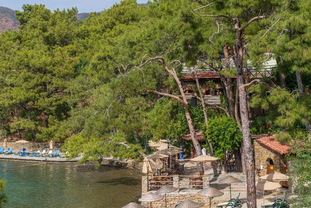 Bar, Marmaris Bay Resort Adult Only 16+, Dalaman