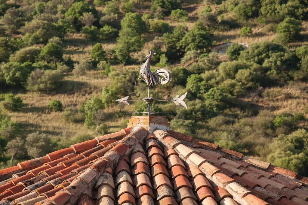 General view, Azienda Agrituristica Bergi, Palermo