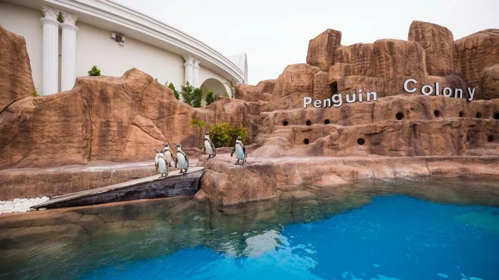 Sports and Entertainment, The Land of Legends Kingdom, Antalya