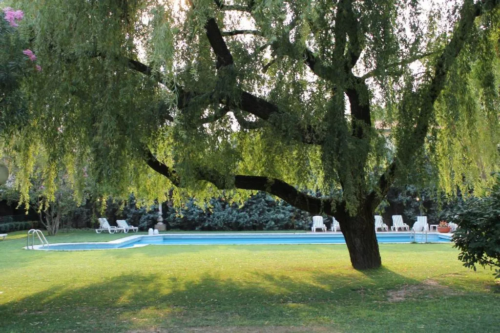 Pool, Blue Dream, Venice