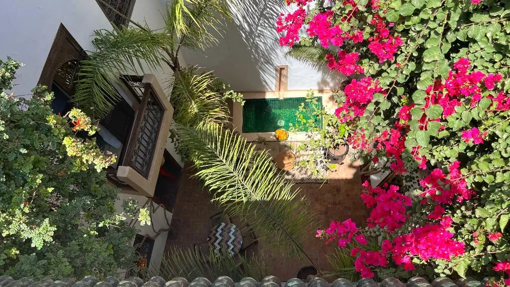 General view, Riad Dar Zaman, Marrakech