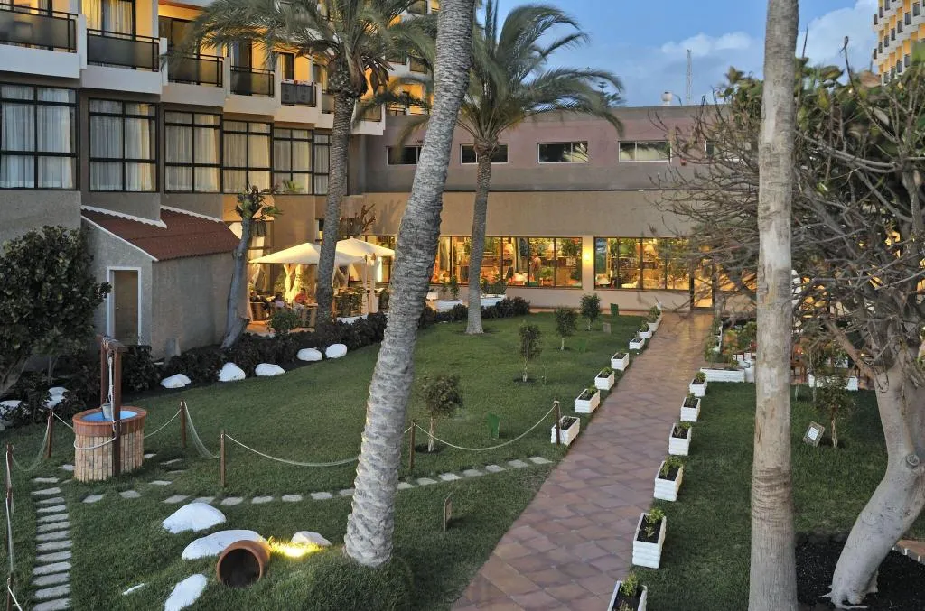 Terrace, Sol Tenerife, Tenerife