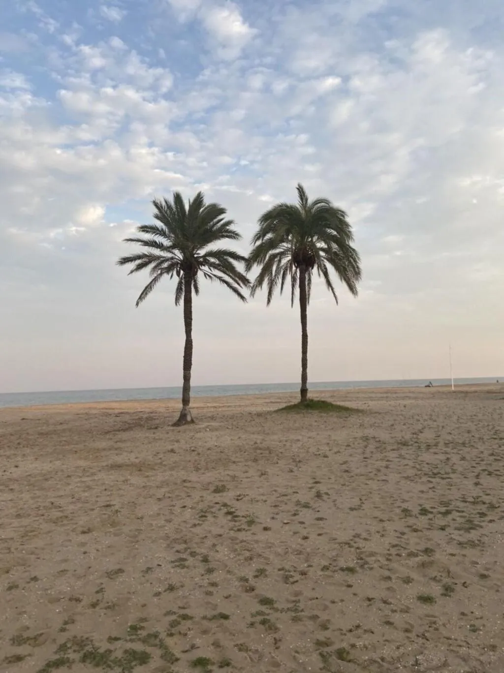 General view, Hostal Pensimar, Costa Blanca