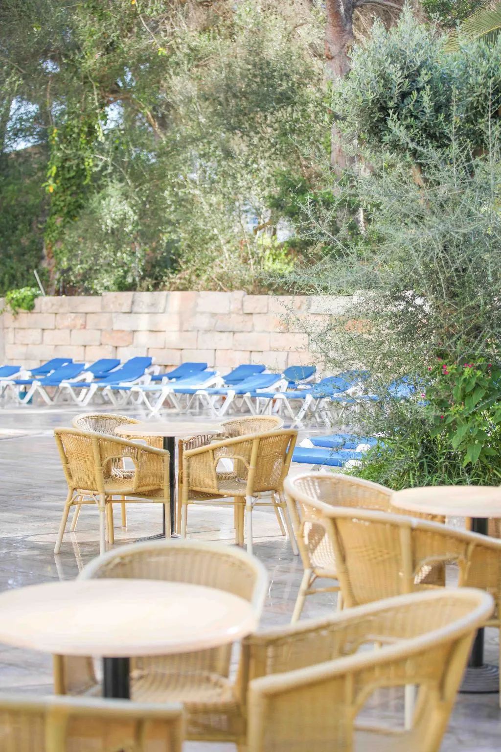 Sports and Entertainment, Elegance Playa Arenal, Majorca