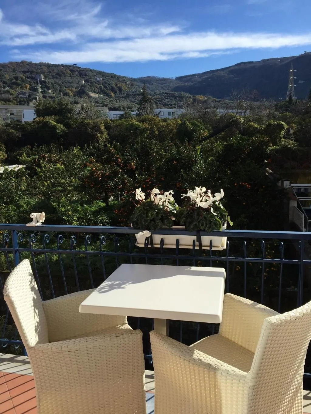 General view, Bougainvillea Relais, Naples