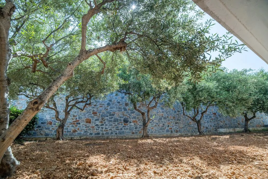 General view, Semiramis Village, Crete