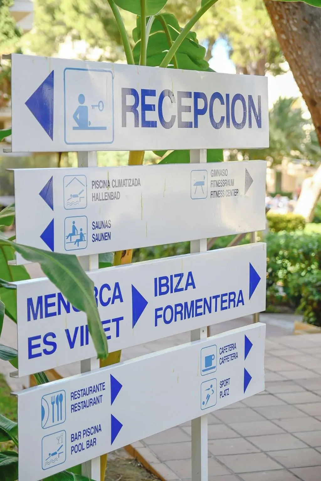 General view, Club Hotel Cala Ratjada, Majorca