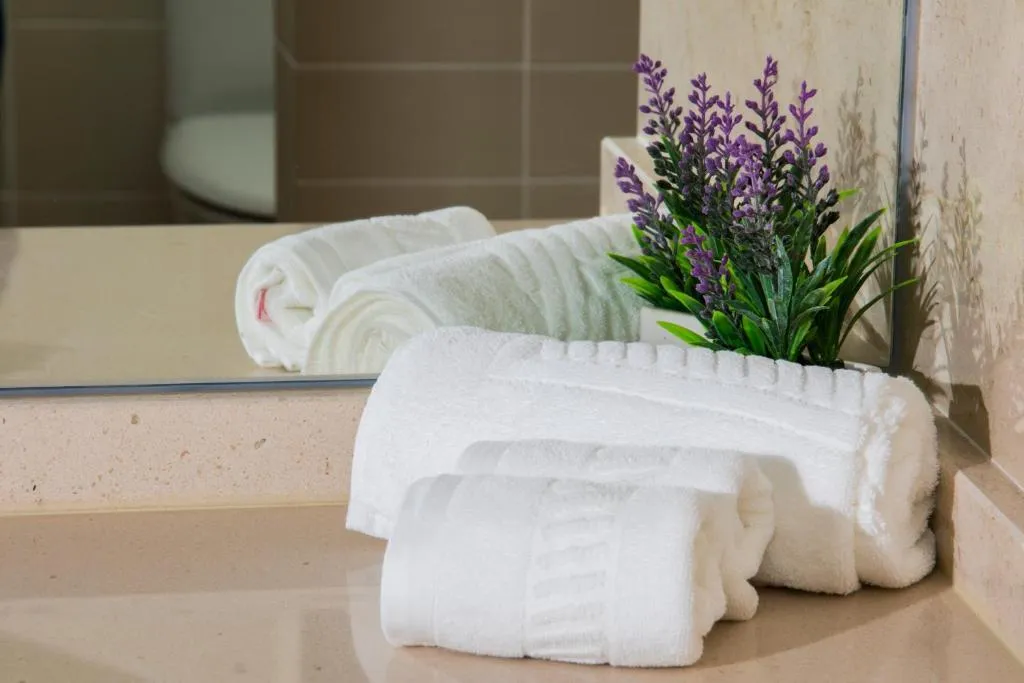 SINGLE STANDARD Room, Luna Arcos Hotel Nature & Welness, Porto