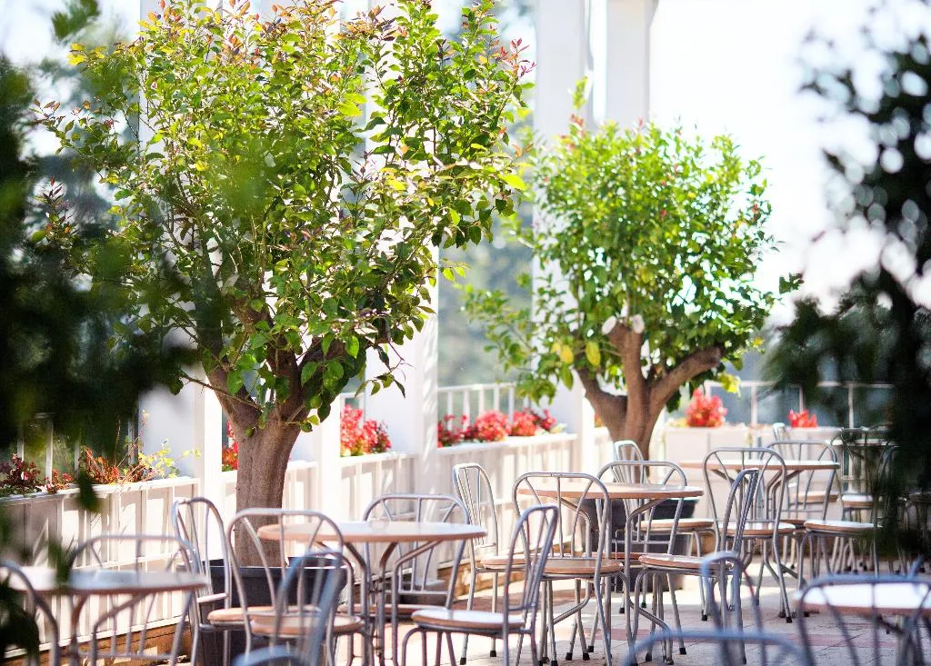 Terrace, Duga Uvala, Istria