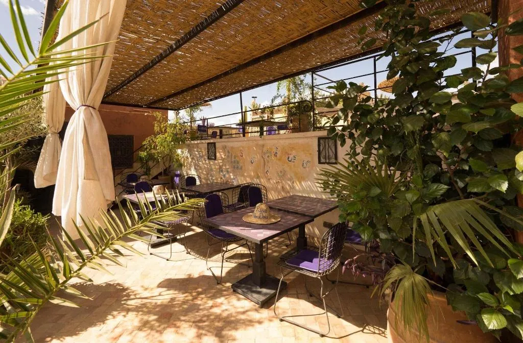 General view, Riad Houdou, Marrakech