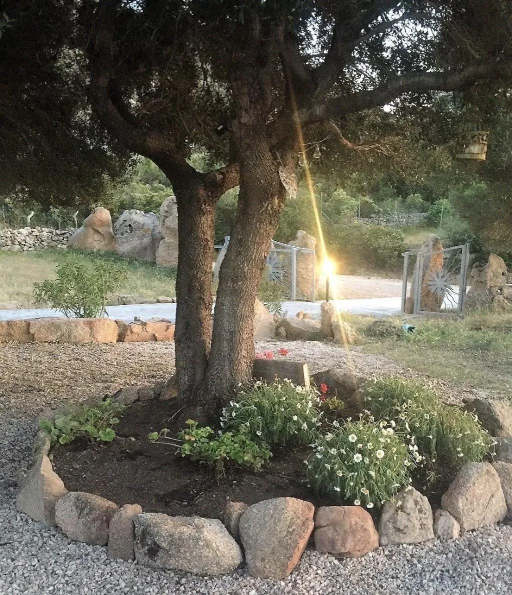 Room, B&B Su Donnigheddu, Olbia