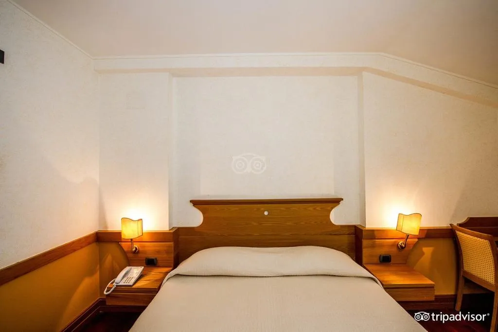 Double or Twin DELUXE Room, BV Grand Hotel Assisi, Perugia