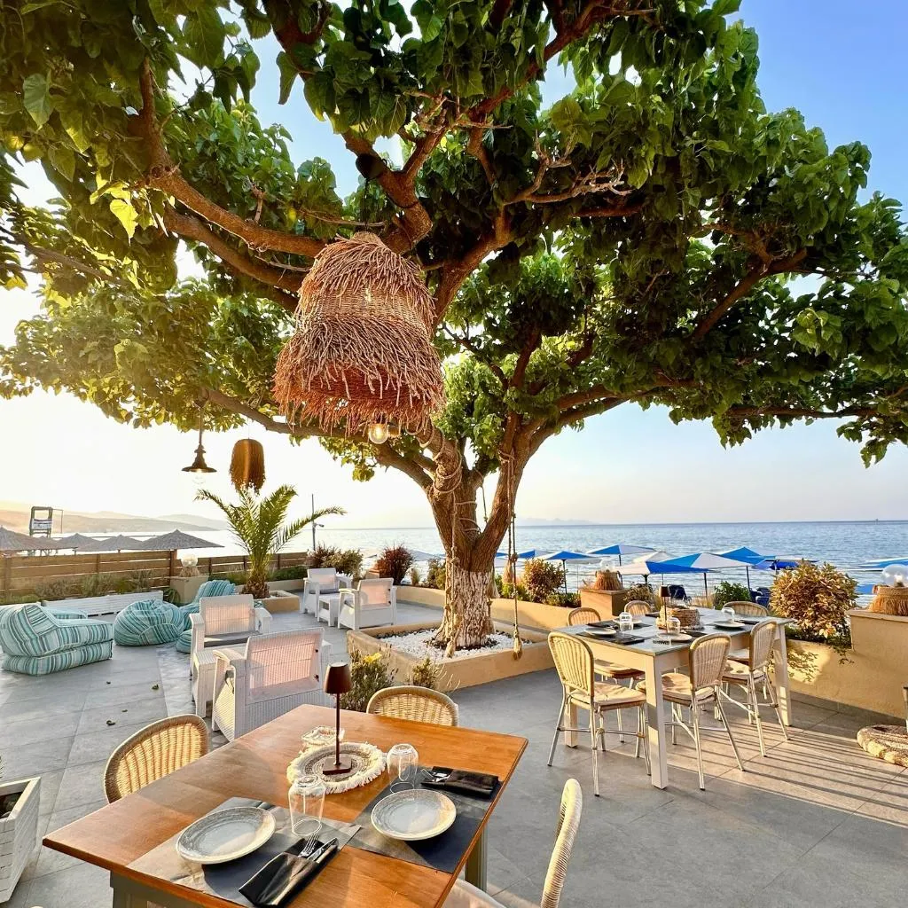 Restaurant, Asteria, Zante