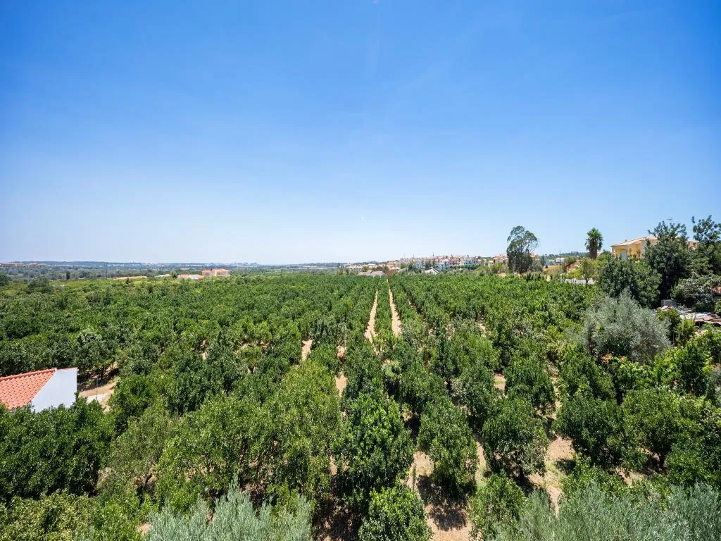 General view, Flor da Laranja, Algarve