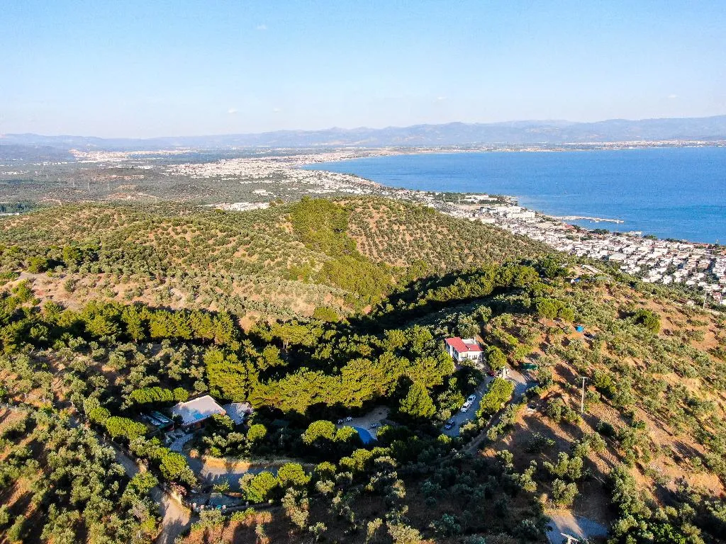 General view, Dusler Vadisi Kazdaglari, Izmir
